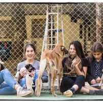 Kids and dogs in Saburtalo